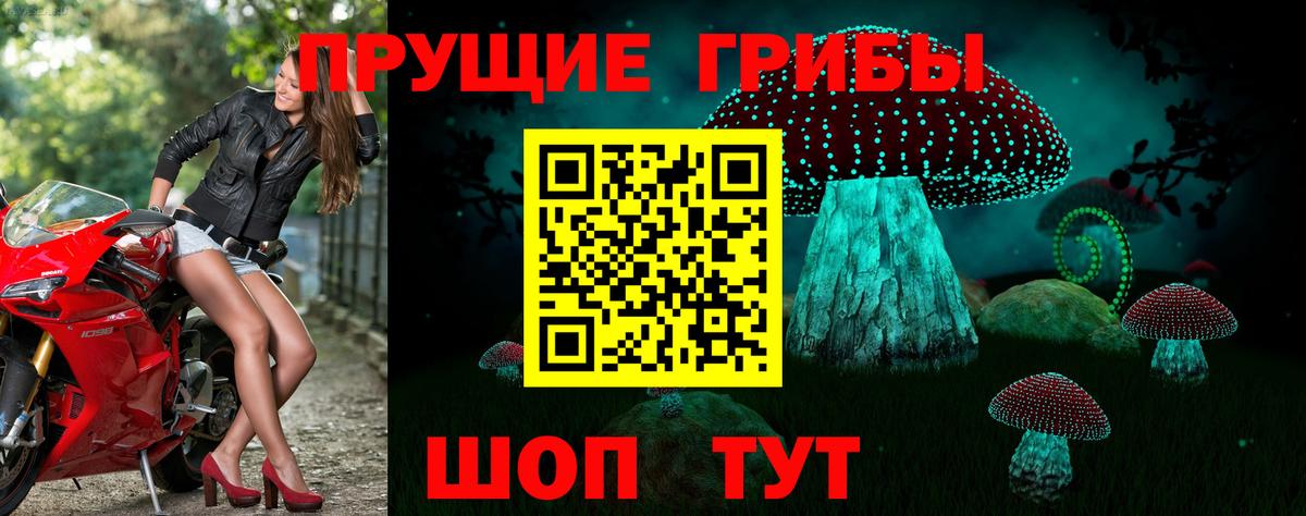 Чернушка  Псилоцибиновые грибы ЛСД  Вход с VPN  Псилоцибиновые грибы мухоморы 