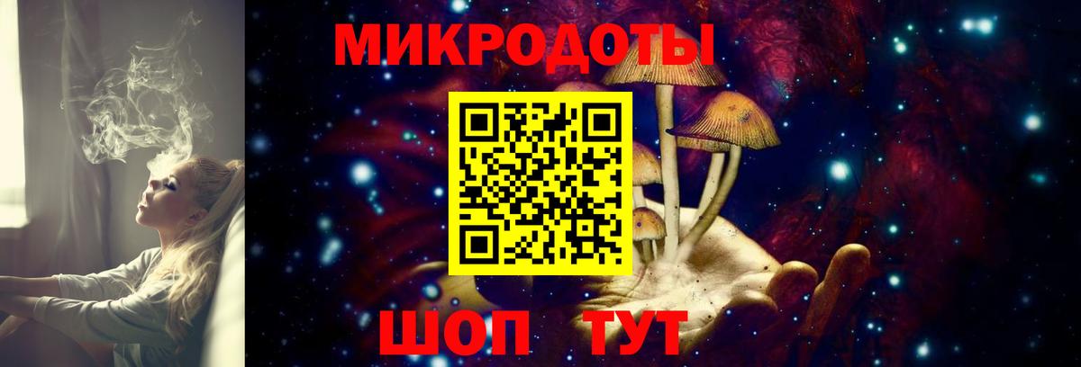 Галлюциногенные грибы MAGIC MUSHROOMS Чернушка